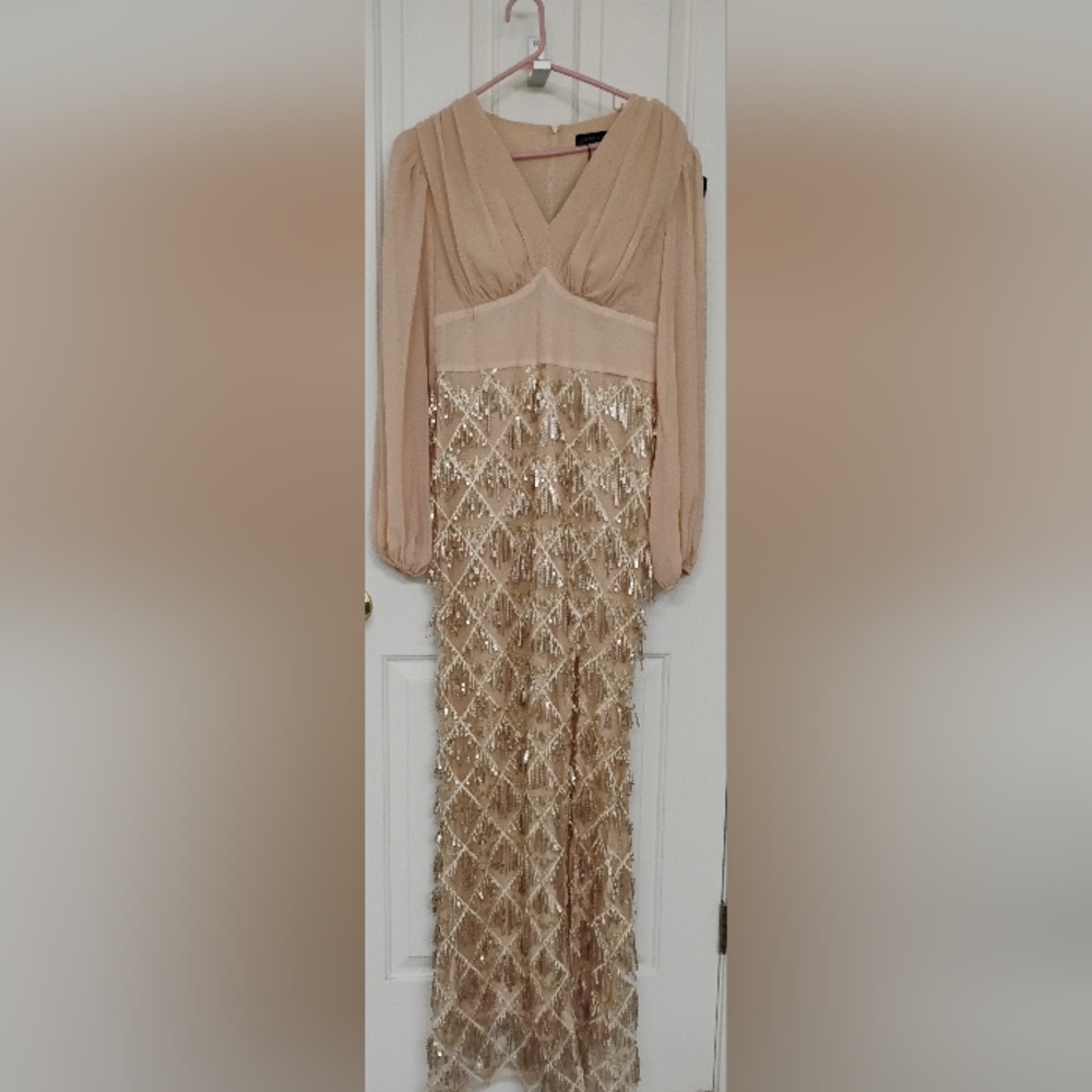 Miss Ord Lantern Sleeve Sequin Fringe Dress